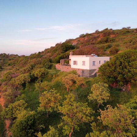Cycladic Villa With Sea View! Ioulis Bagian luar foto